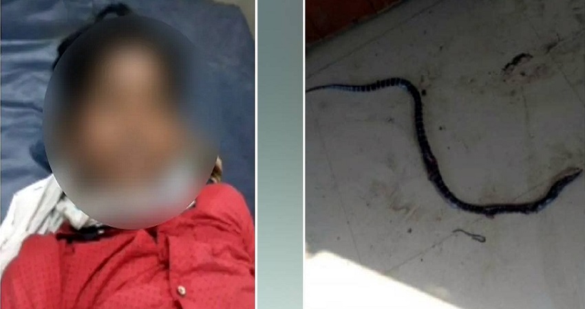 UP: प्रशासन की बदहाली आई सामने, क्वारंटाइन सेंटर में लड़के की सांप के काटने से हुई मौत UP: प्रशासन की बदहाली आई सामने, क्वारंटाइन सेंटर में लड़के की सांप के काटने से हुई मौत